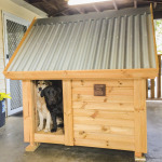 House Kennel